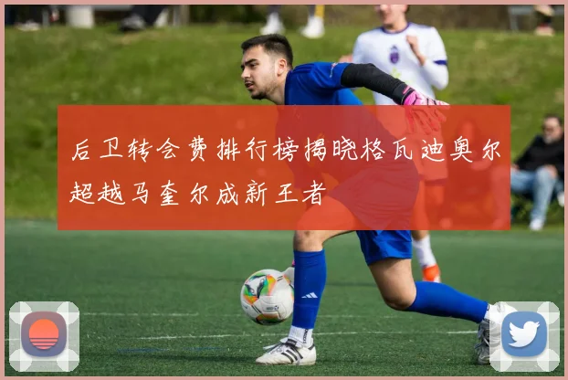 后卫转会费排行榜揭晓格瓦迪奥尔超越马奎尔成新王者